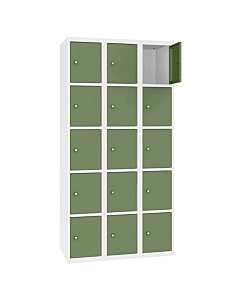 Metalen locker met 15 vakken - H.180 x B.90 cm Zuiver wit (RAL9010) Resedagroen (RAL6011)